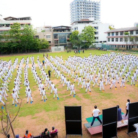 ground1