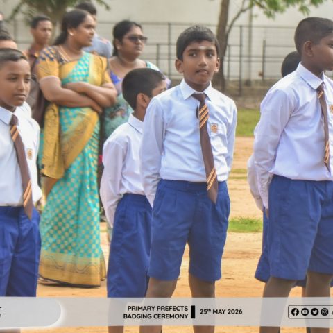 PRIMARY PREFEDCTS BADGING-1461