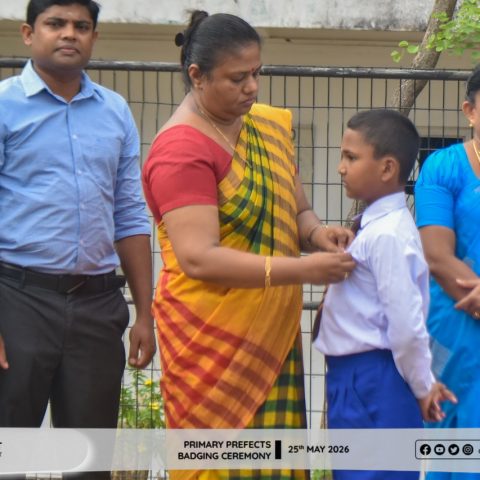 PRIMARY PREFEDCTS BADGING-1527