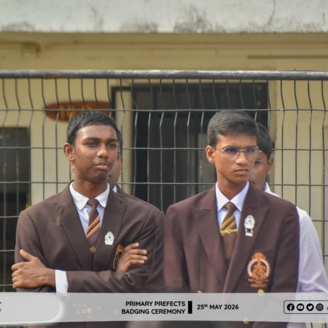 PRIMARY PREFEDCTS BADGING-1538