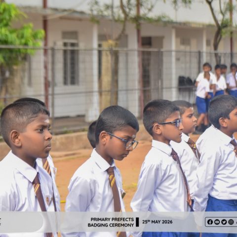 PRIMARY PREFEDCTS BADGING-1540